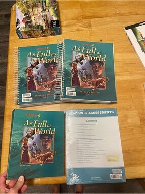 BJU Press Reading 6 Books
